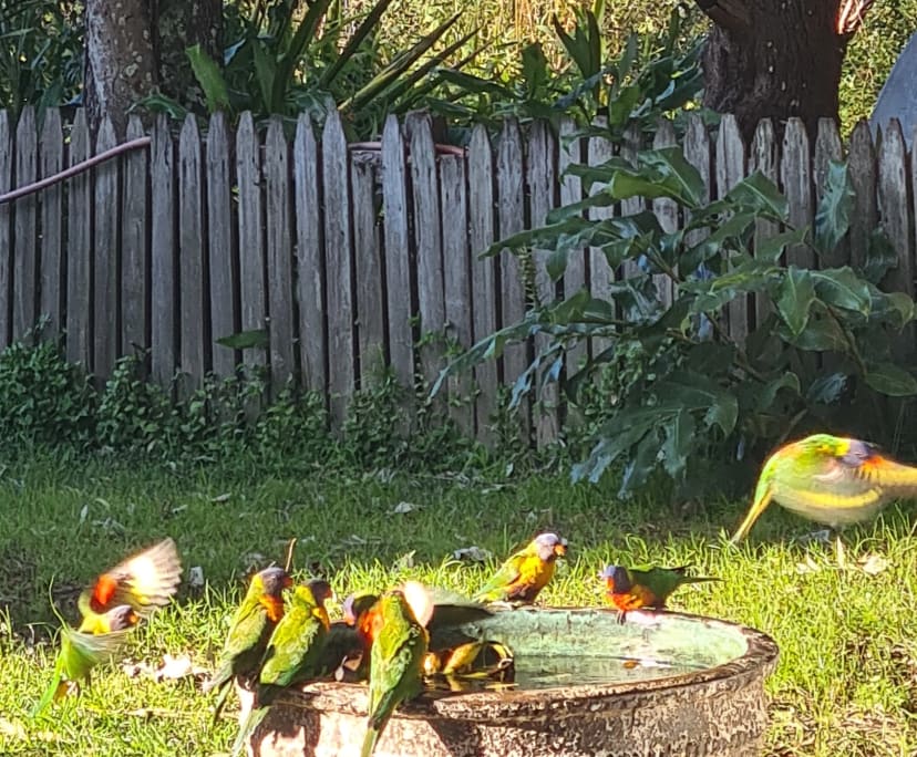 Room for Rent in Tomerong, NSW 200, Furnished, Sh...