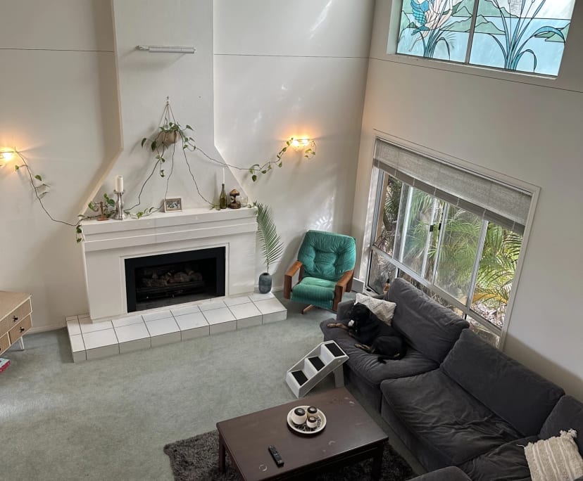 Room in a share house