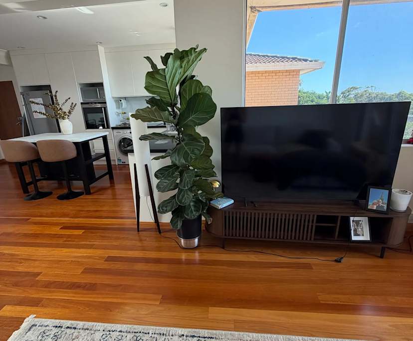 $700, Flatshare, 2 bathrooms, Bondi NSW 2026