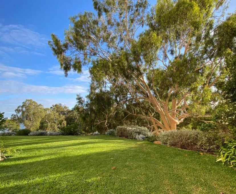 $355, Flatshare, 2 bathrooms, South Perth WA 6151