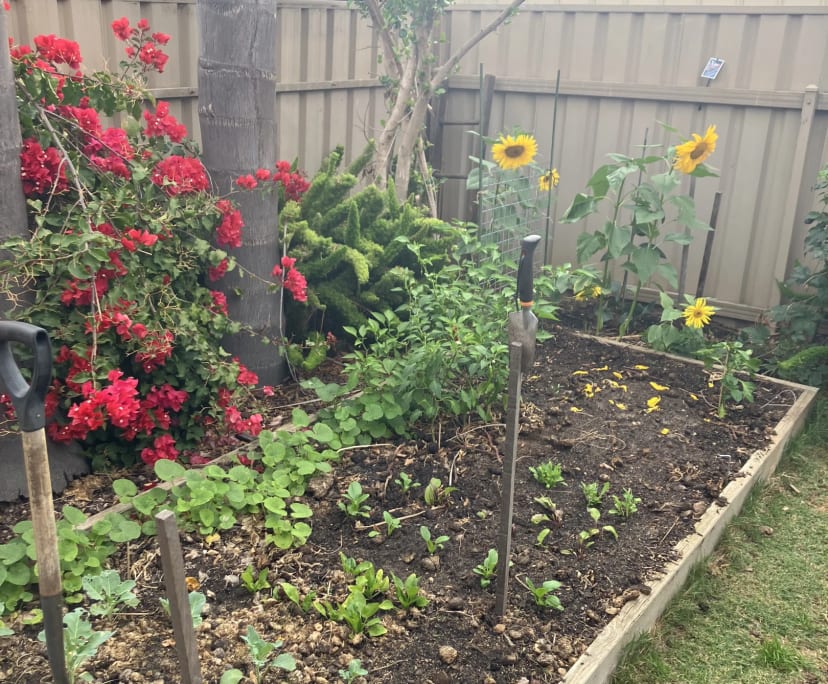 $200, Share-house, 4 bathrooms, Aldinga Beach SA 5173