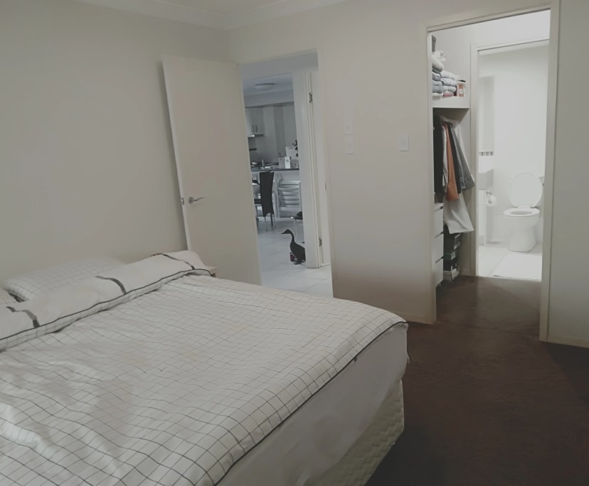Room for Rent in Aspley, Brisbane 300, Unfurnishe...