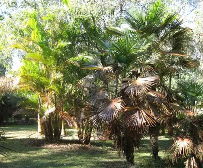 $300, Share-house, 3 bathrooms, Woodvale WA 6026