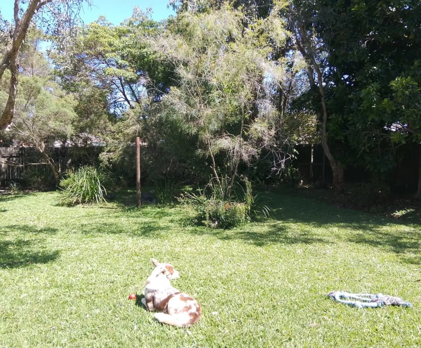 $240, Share-house, 3 bathrooms, Coolum Beach QLD 4573