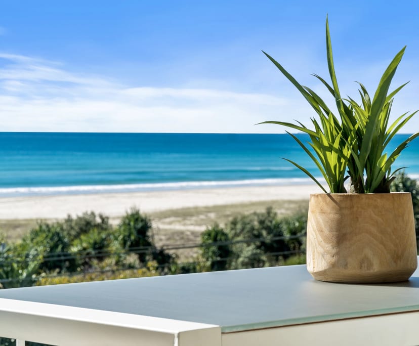 Whole property with 2 rooms for rent