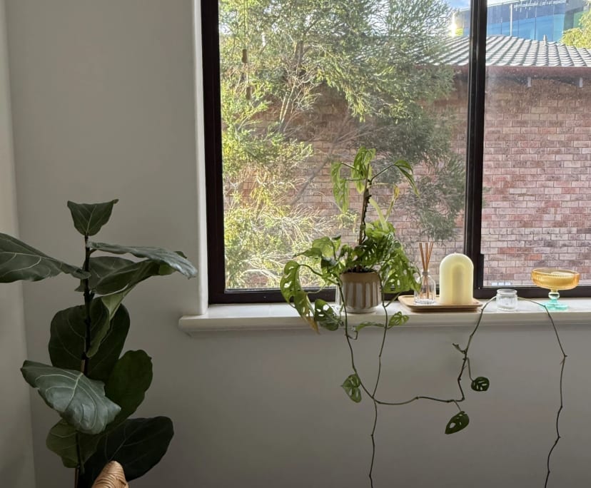 $350, Share-house, 3 bathrooms, Nedlands WA 6009