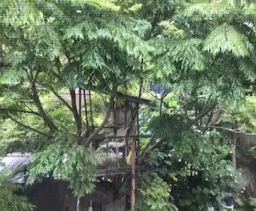 $230, Share-house, 6 bathrooms, Stafford Heights QLD 4053