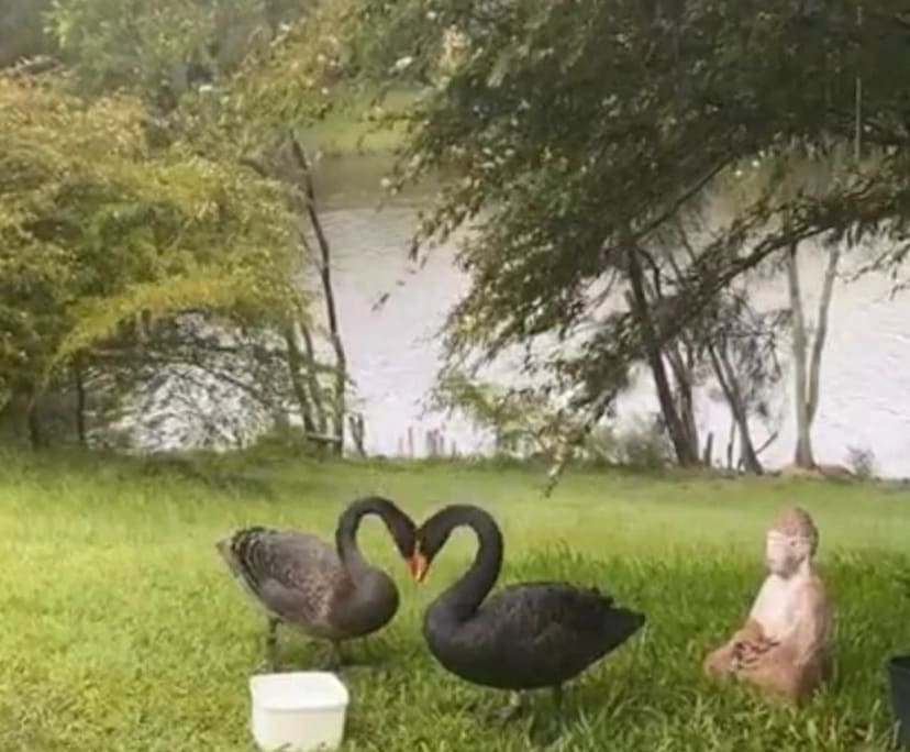 $650, Student-accommodation, 3 bathrooms, Varsity Lakes QLD 4227