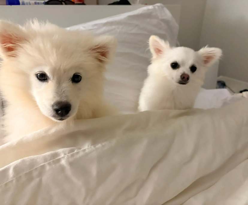 $250, Share-house, 4 bathrooms, Byford WA 6122