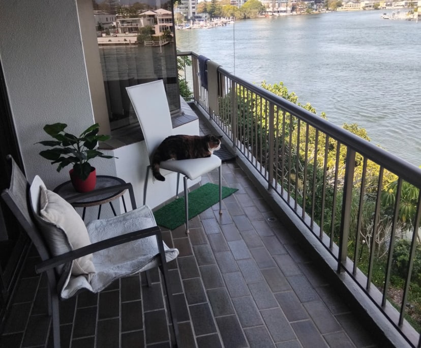$410, Flatshare, 2 bathrooms, Surfers Paradise QLD 4217
