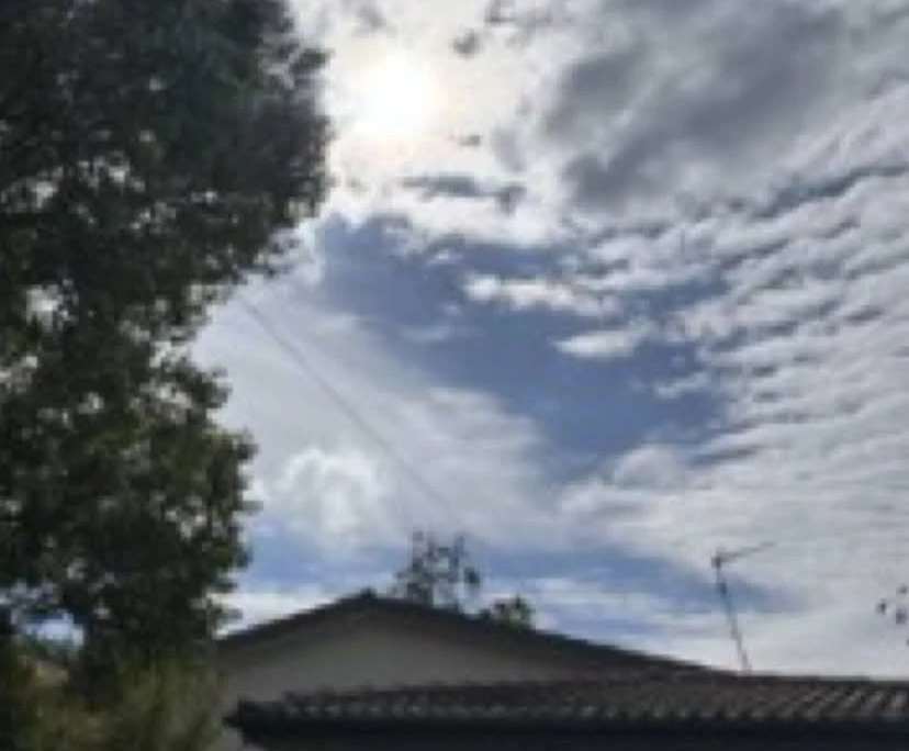 $360, Share-house, 3 bathrooms, Kambah ACT 2902