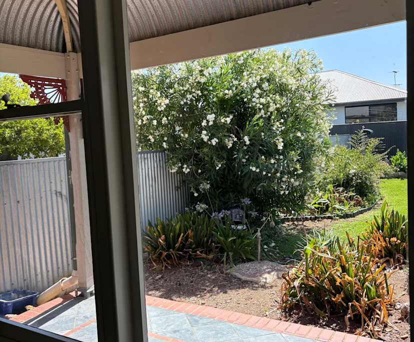 $375, Share-house, 3 bathrooms, Underdale SA 5032