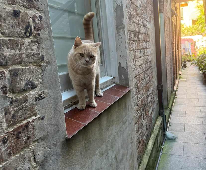 $450, Share-house, 3 bathrooms, Surry Hills NSW 2010