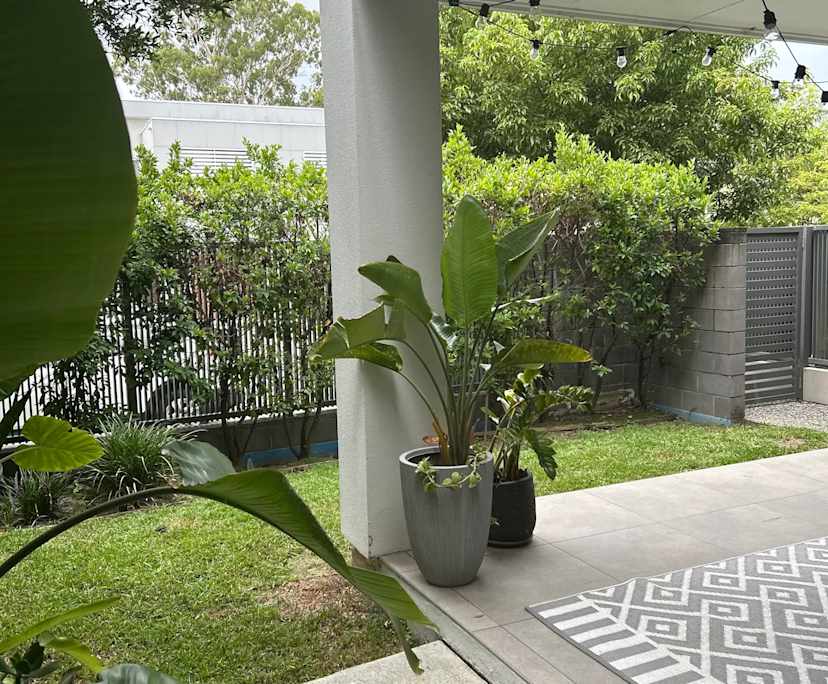 $350, Share-house, 3 bathrooms, Robina QLD 4226