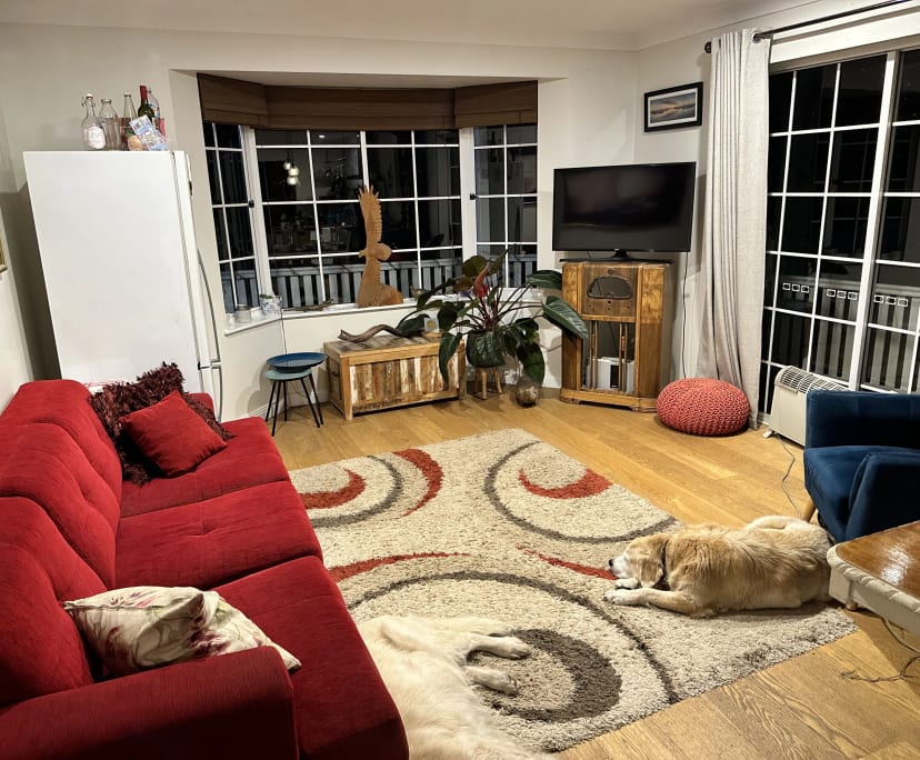 Room in a share house