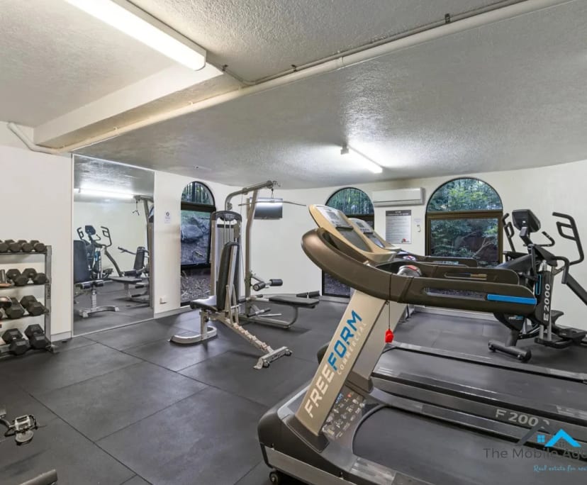 $450, Flatshare, 2 bathrooms, Surfers Paradise QLD 4217