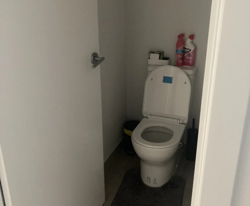 $250, Share-house, 4 bathrooms, Park Ridge QLD 4125