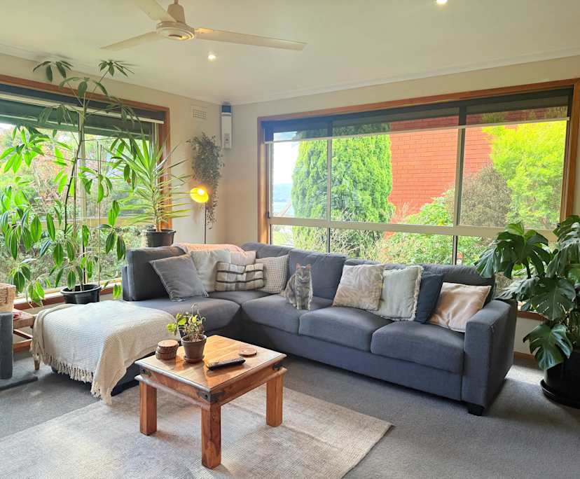 Furnished room with own bathroom