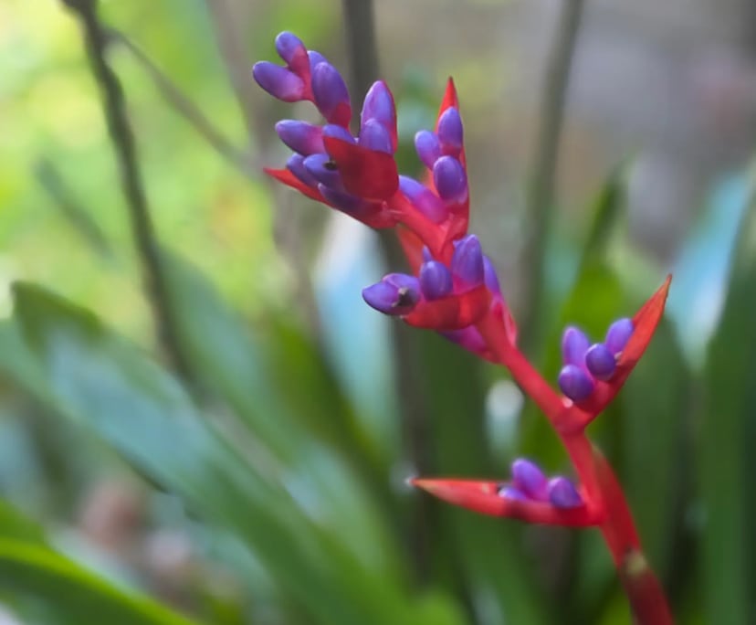 $450, Share-house, 3 bathrooms, Surry Hills NSW 2010