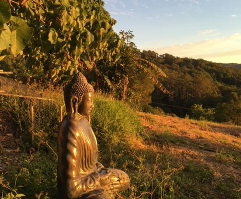 $275, Share-house, 4 bathrooms, Mullumbimby NSW 2482