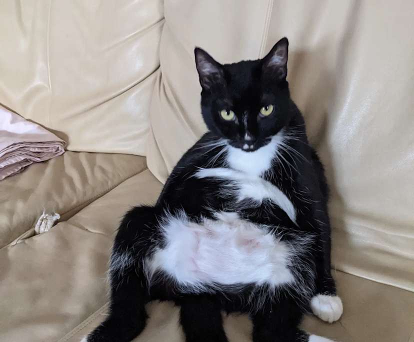 $350, Share-house, 2 bathrooms, Footscray VIC 3011