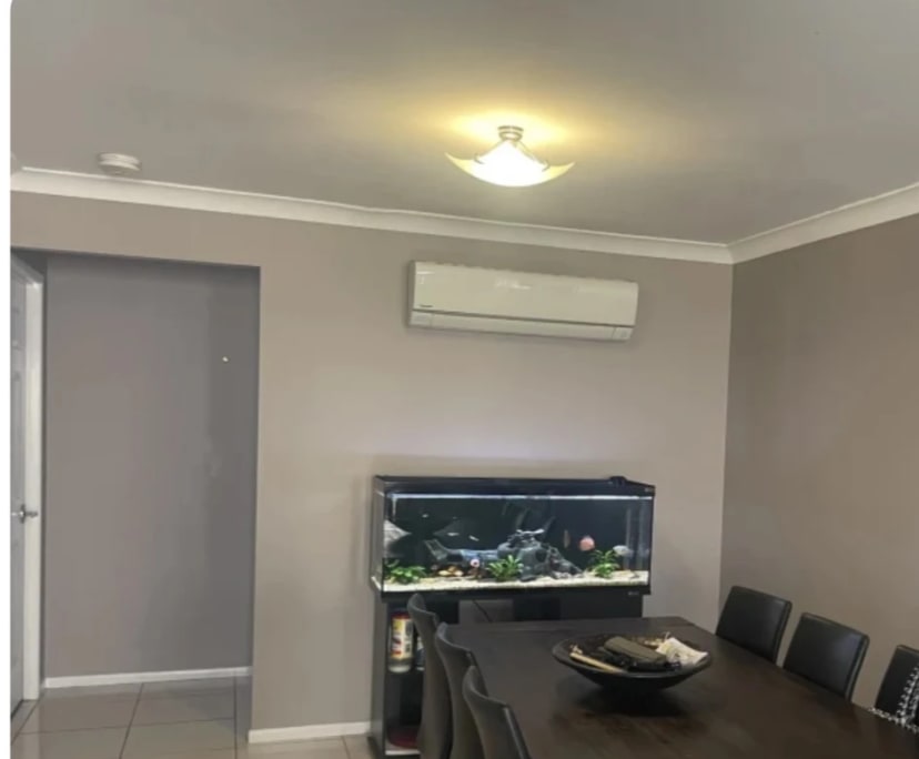 $300, Share-house, 4 bathrooms, Loganlea QLD 4131