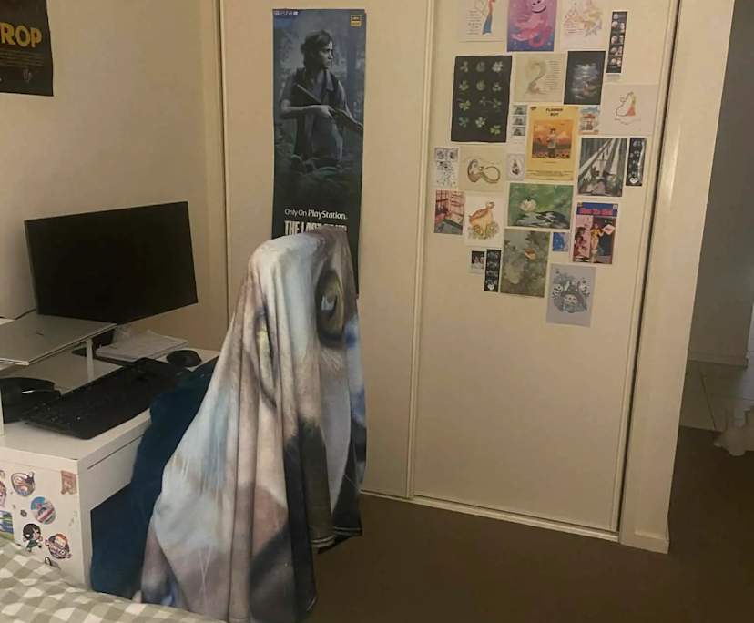 $295, Flatshare, 2 bathrooms, Braddon ACT 2612