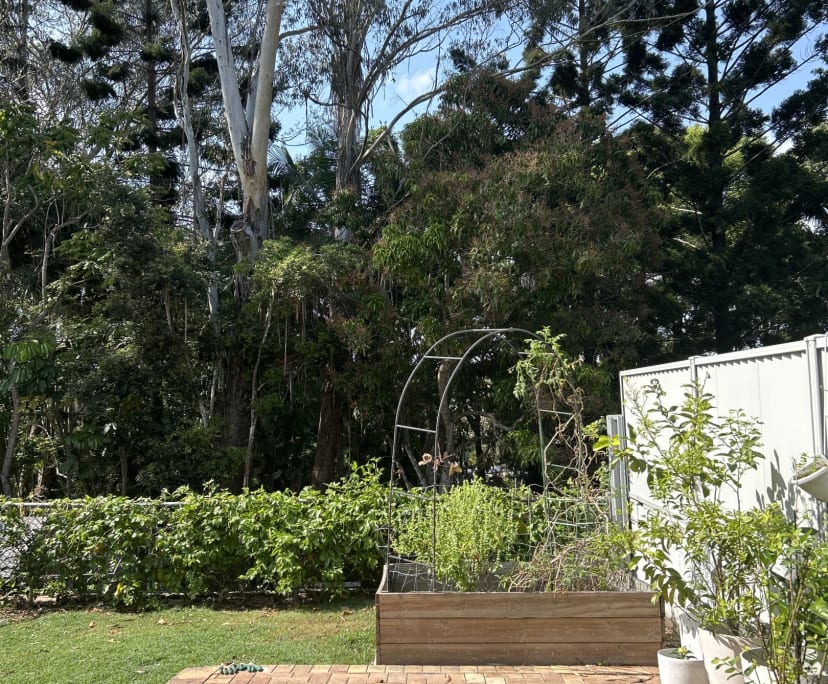 $245, Share-house, 3 bathrooms, Nambour QLD 4560