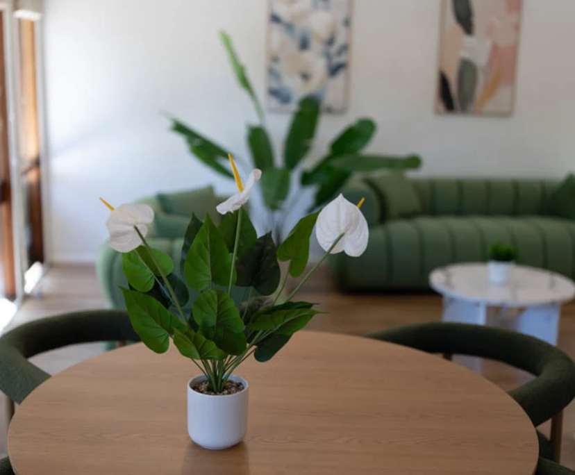 $680, Share-house, 4 bathrooms, Randwick NSW 2031