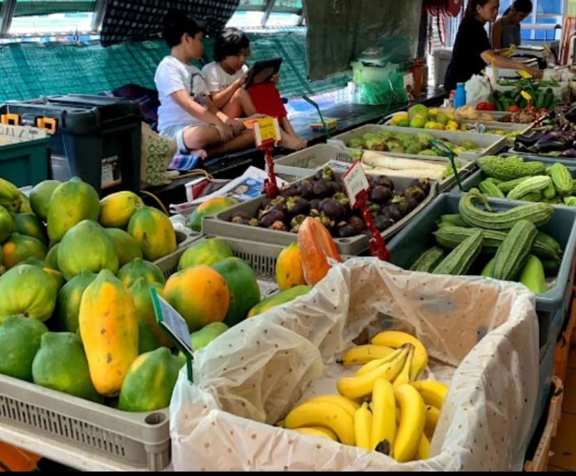 $250, Share-house, 4 bathrooms, Rapid Creek NT 0810