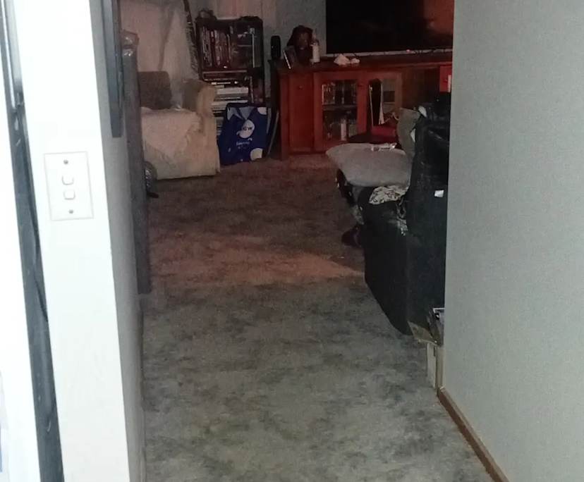 $250, Flatshare, 2 bathrooms, Old Beach TAS 7017