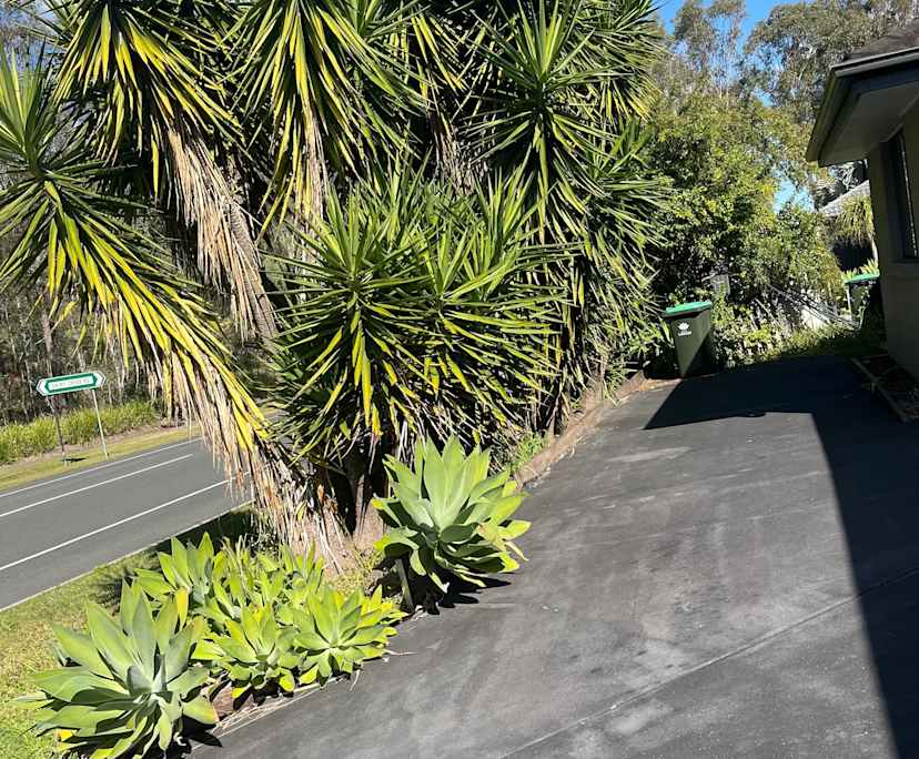 Room in a share house