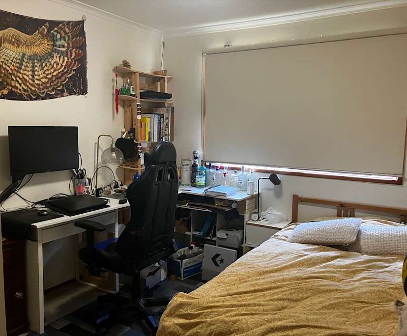 Room in a share house