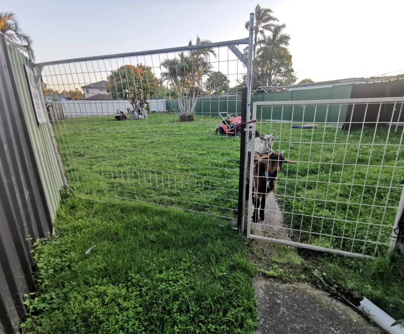 $275, Share-house, 3 bathrooms, Runcorn QLD 4113