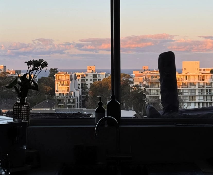 $700, Flatshare, 2 bathrooms, Bondi NSW 2026