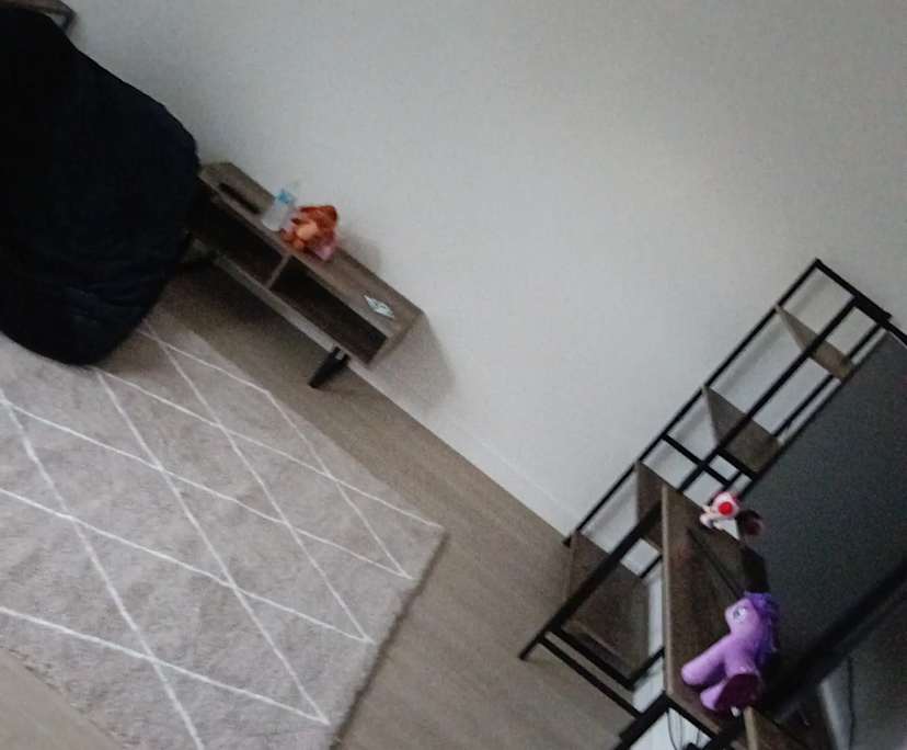 Furnished room in a flatshare