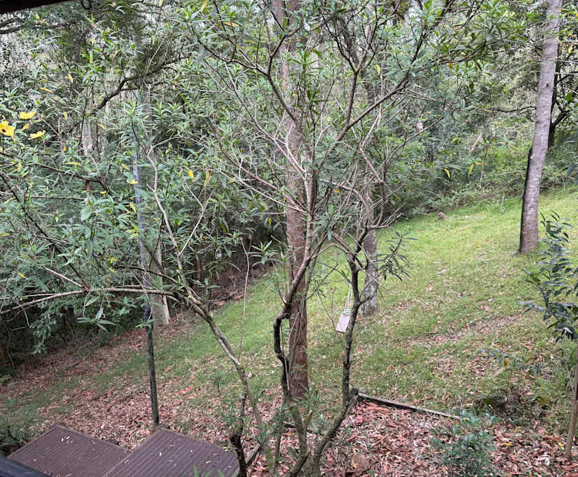 $220, Share-house, 4 bathrooms, New Lambton Heights NSW 2305