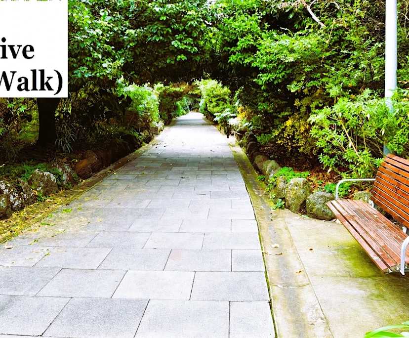 $330, Flatshare, 3 bathrooms, St Kilda VIC 3182