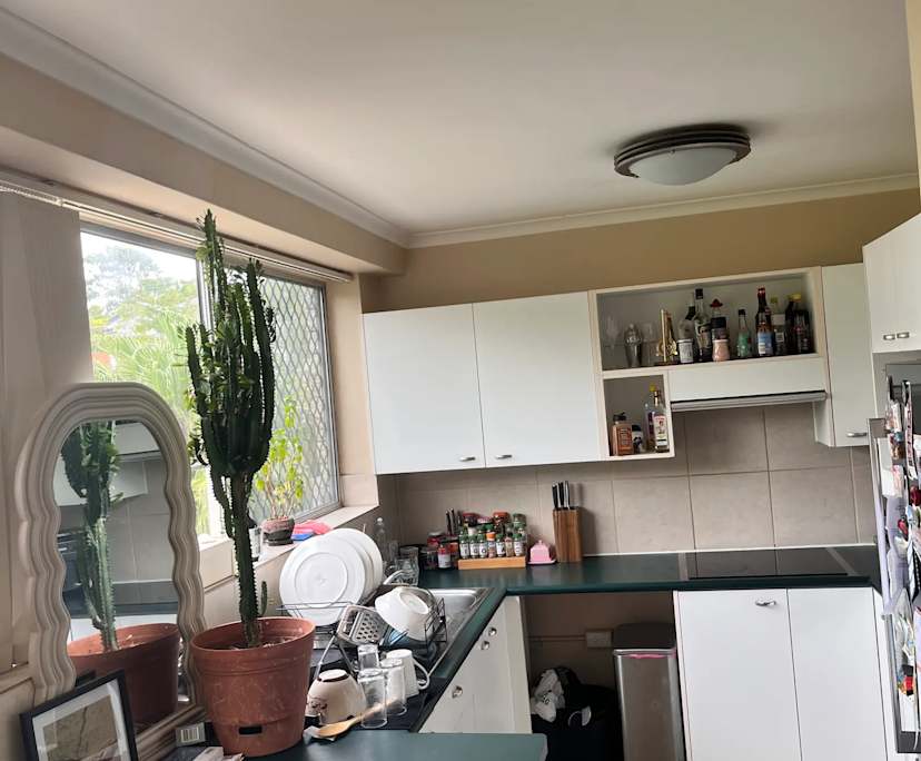 $215, Flatshare, 2 bathrooms, Herston QLD 4006