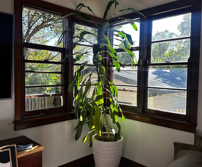 $300, Share-house, 3 bathrooms, East Lismore NSW 2480