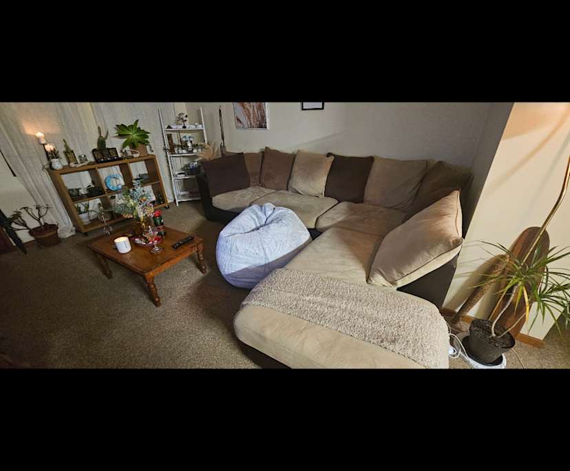 Room in a share house