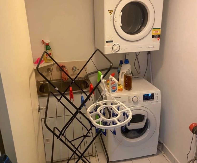 $300, Flatshare, 3 bathrooms, Pyrmont NSW 2009