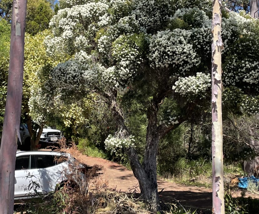 $350, Share-house, 2 bathrooms, Glen Forrest WA 6071