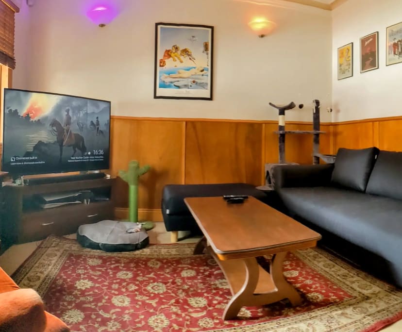 Room in a share house