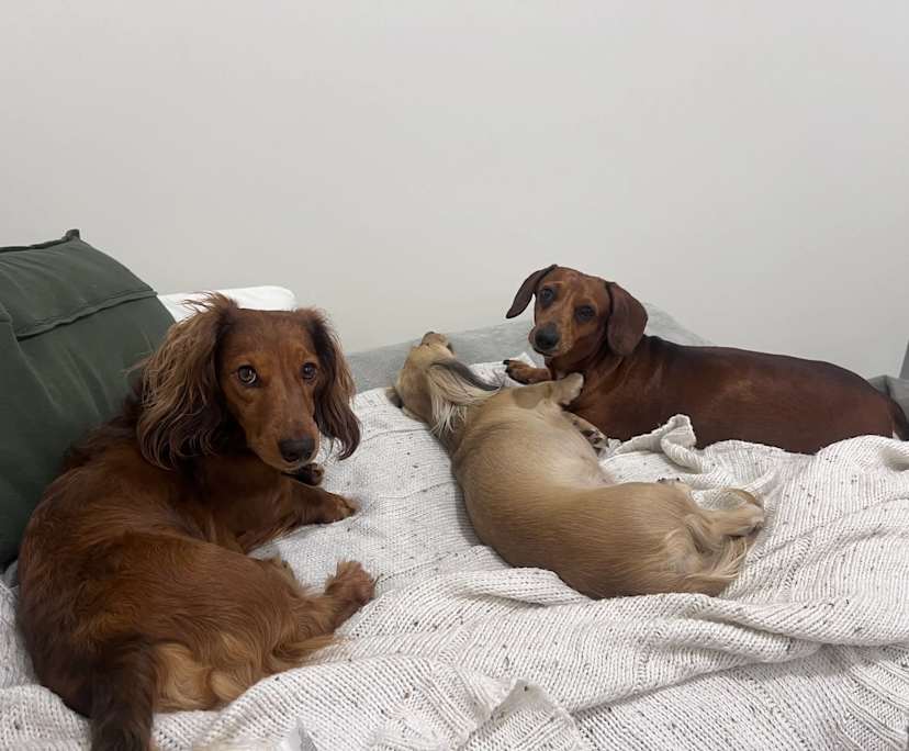 Room in a share house