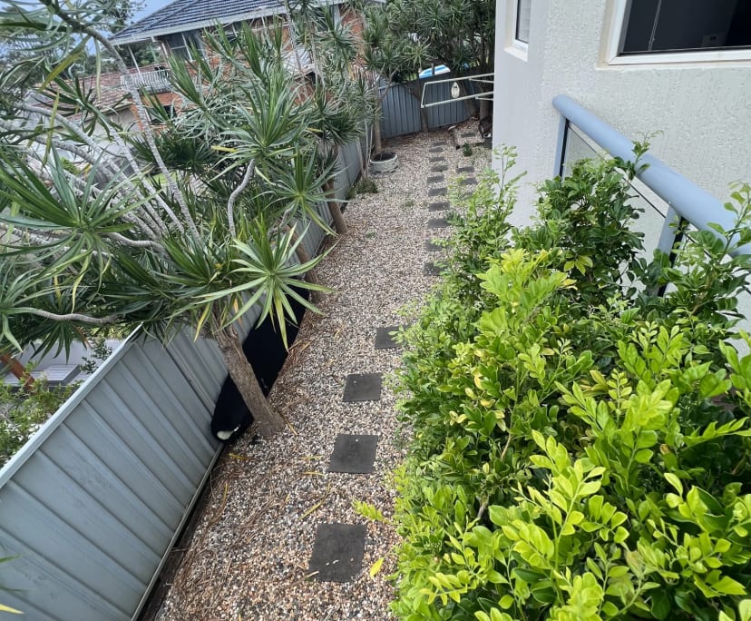 $260, Share-house, 3 bathrooms, Port Macquarie NSW 2444