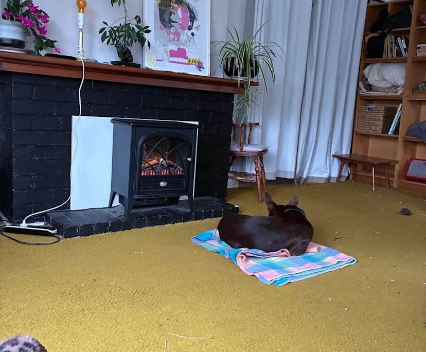 Unfurnished room in a share house