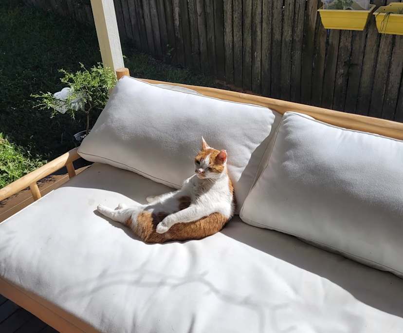 $190, Share-house, 4 bathrooms, Bardon QLD 4065