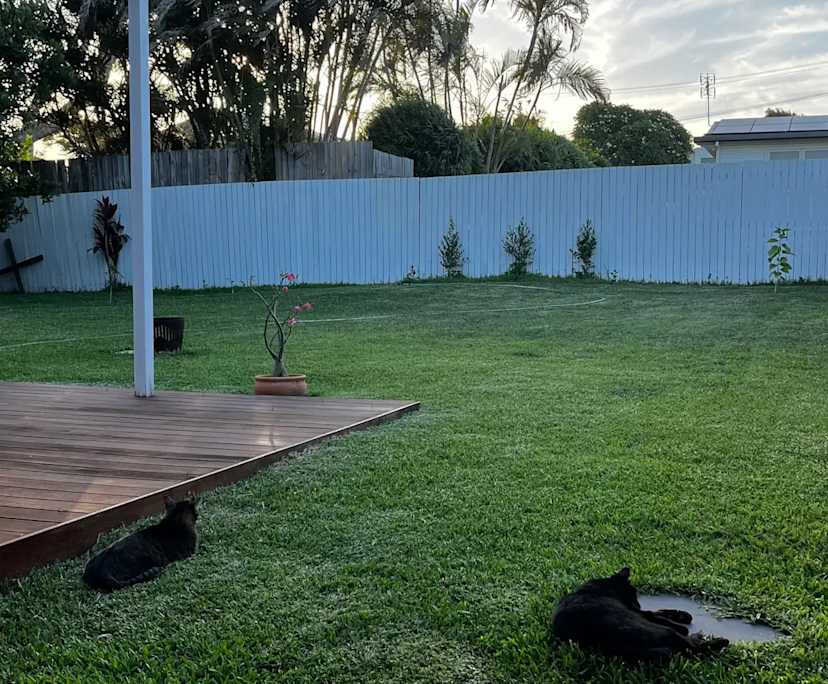 $600, Share-house, 3 bathrooms, Buderim QLD 4556