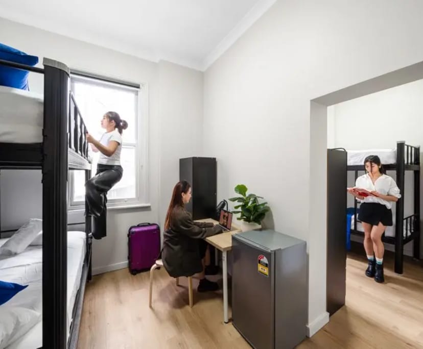 $300-350, Share-house, 2 rooms, Chippendale NSW 2008, Chippendale NSW 2008